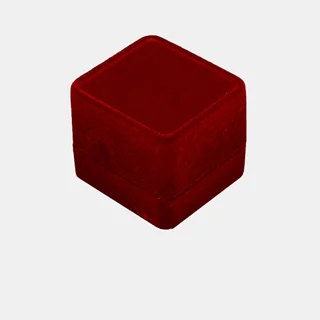 جعبه انگشتر زوج EP2 PAR1